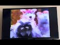 Sesame Street The Squirrelles Cracking Nuts