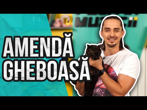 Poliția Muzicii: MARKO GLASS X CRUZ - Meditez