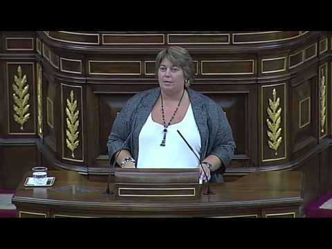 PPC - La verdad sobre la N-II en Girona