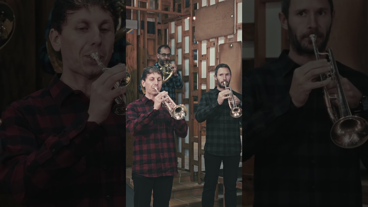 Crazy Brass Short