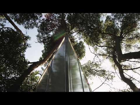 ANDREW BERMAN, TRIADIC