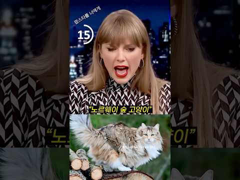 캣일러 스위프트의 30초 고양이 미션