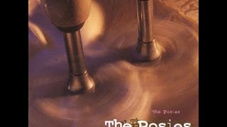 The Posies - Frosting on the Beater (1993) FULL ALBUM