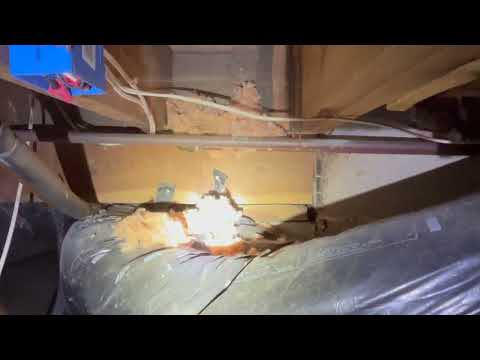 Crawl Space Heavily Infested with Mice in Farmingdale, NJ
