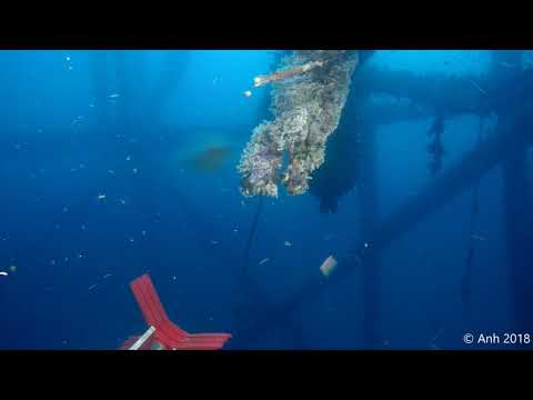 Caisson Cleaning in 4K