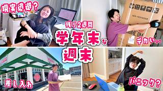 【限界突破】勉強から現実逃避したいかほvsママの攻防😫学年末まであと2週間！提出物＆テストに追われるかほせいのリアルな日曜日😱