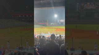 【TeamTaiwan】#豊暐 #栗子 #芮妮 #昆昆 #玖玖 #勛雞 #冬季聯盟@台中洲際棒球場 20241214 #台湾チア #cheerdance #cpbl #teamtaiwan #啦啦隊