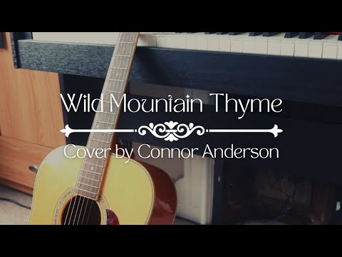 Wild Mountain Thyme | Celtic Fingerstyle Guitar Cover [Stephen Wake]