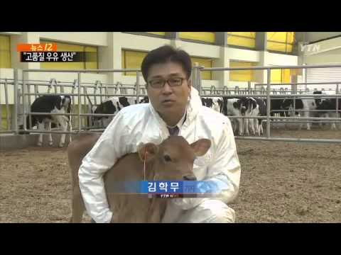 , title : '얼룩없는 젖소...'고품질 우유 생산' / YTN'