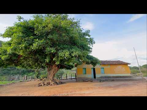 DONA GENI E SEU NETO - NOVO CRUZEIRO MG
