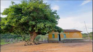 DONA GENI E SEU NETO - NOVO CRUZEIRO MG