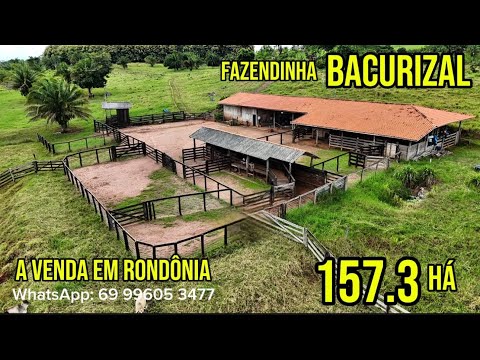 Fazendinha BACURIZAL A VENDA DE 157.3 há 3 km da cidade em Rondônia 