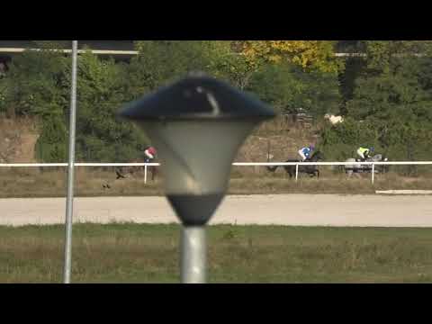 Trka "Memorijal Vlade Bjelogrlića" 03.10.2021 Never in Red - Ilić Željko