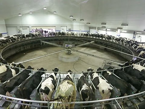 Coke Bets on 'premium Milk' to Boost Category