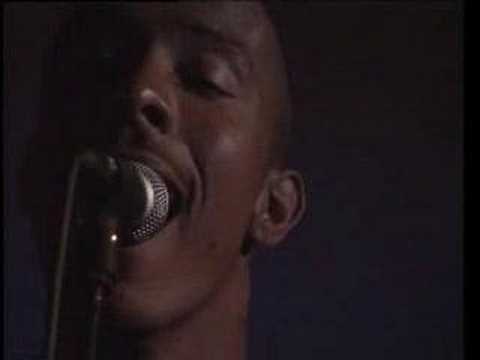 KRISTER LINDER: TURNING DAISIES (LIVE)