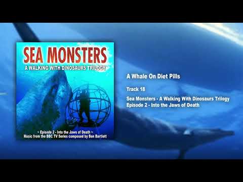 18. A whale on diet pills / Sea Monsters - Official Soundtrack