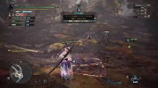 参加ok!アイスボーン