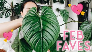 first favourites video of 2023 / new growth i'm like soOoo stoked about rn