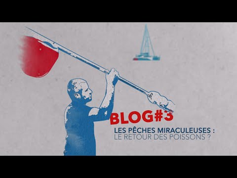 Confinement et biodiversité - épisode 3 : Les pêches miraculeuses