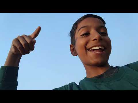 My first blog | #dog #viral 