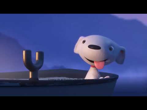 O cachorro e a garça, lição de vida.