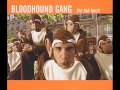 The Bloodhound Gang - The bad touch HQ