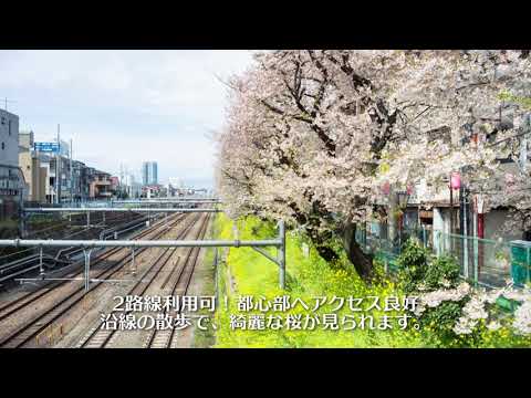 動画サムネイル