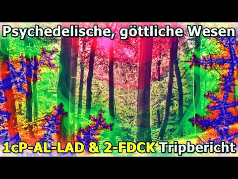 ,,Psychedelische, göttliche Wesen" 🤩 1cP-AL-LAD & 2-FDCK – Eure Berichte