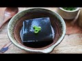 GOMA TOFU JAPANESE SOY FREE SESAME TOFU 黒ごま豆腐