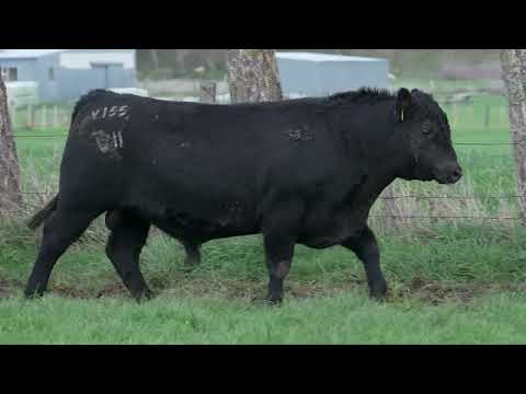 Lot 40  SEVEN HILLS V155 PV