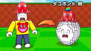 卵になって卵を盗むロブロックスをやりこんだ【 Roblox 】