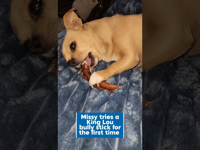 Judge.me YouTube video placeholder