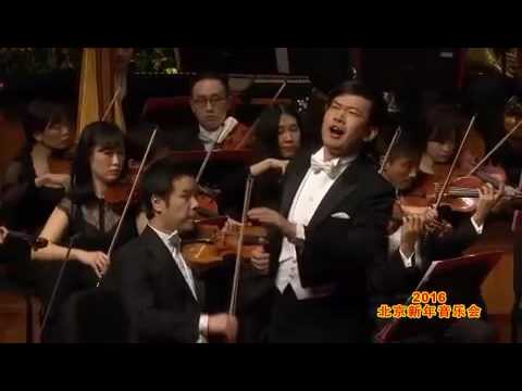 Yijie Shi - La donna è mobile - Rigoletto