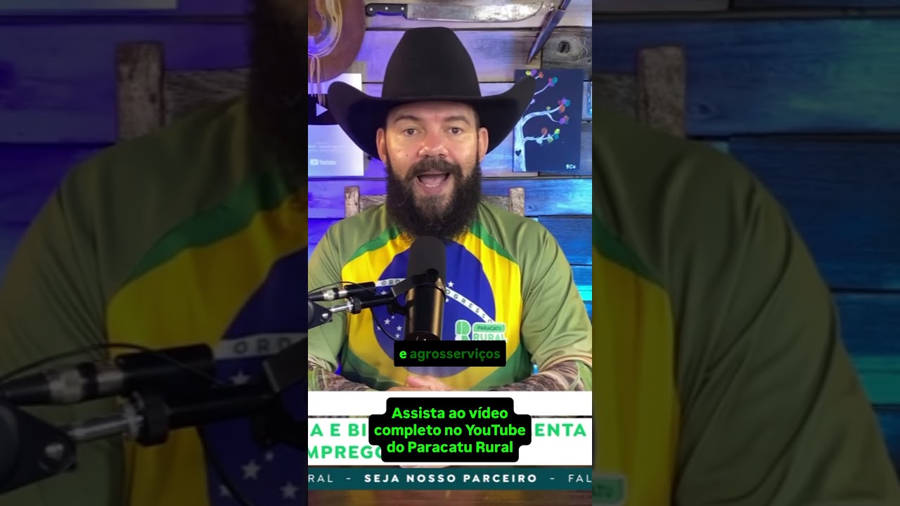 Cadeia da soja e biodiesel  movimenta economia e amplia geração de empregos