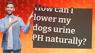 How can I lower my dogs urine PH naturally?
