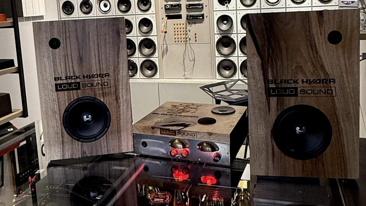 Аудиосистема Своими Руками! Новинки Black Hydra. Нежданчик от URAL