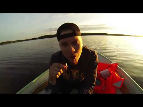 Loskapaukut - Sulanveden ensipuraisu