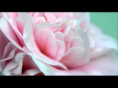 G. Tartini: Op. 1 n. 4 - Concerto for violin, strings & b.c. in D major (D 15) - Part I