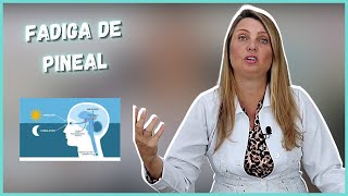 DICA DO DIA - FADIGA DE PINEAL - @draelizetekaffer
