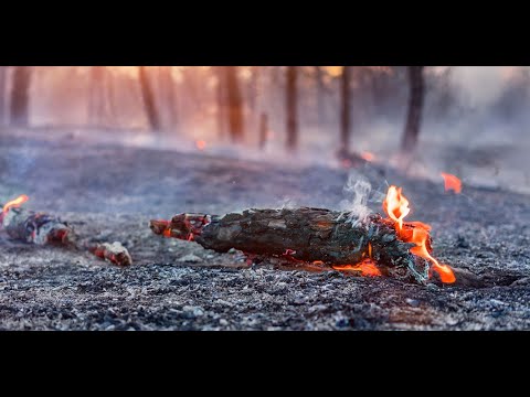 Wetter heute: Die aktuelle Vorhersage (09.08.2020)