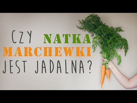 Olej do włosów sto receptur dla urody Rostov klinika dla łysienia