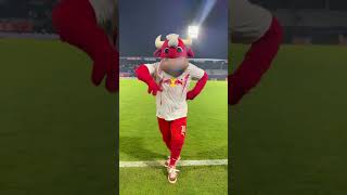 BRAGANTINO PROVOCA PAQUETÁ E FLAMENGO COM A DANÇA DO TORO LOKO! 👀😱🐂