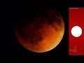 Blood Moon Timelapse Total Lunar Eclipse Seen On April 15