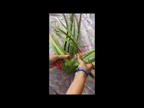 DIY KONO - Make your own basket with Harakeke (NZ flax)