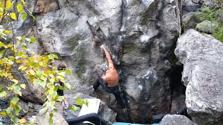 Video thumbnail of Study Hard, 8A/A+. Modřín