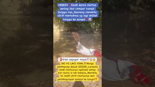 Download lagu 🔴Kang Dedi Mulyadi‼️Help make it viral mp3 Download lagu 🔴Kang Dedi Mulyadi‼️Help make it viral mp3
