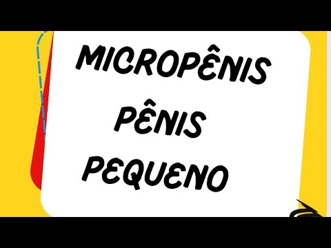 Caio Flavio Castro E Macedo-17