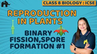 Reproduction in Plants Class 8 ICSE Biology | Selina Chapter 2 | Binary Fission,Spore Formation #1