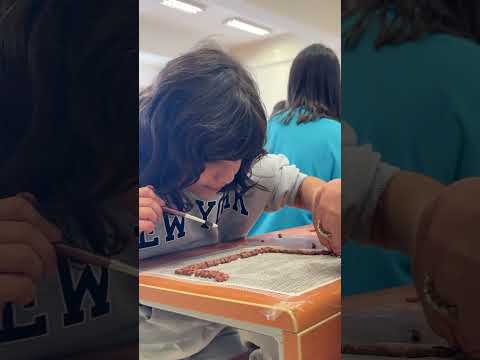 Sosyal Bilimler Festivali Sosyalfest, 50 Gelişim Atölyesine ev sahipliği yaptı