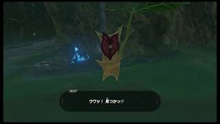 【実況】ゼルダの伝説　ＢｏＷ　♯8　【ハテノ村へ】